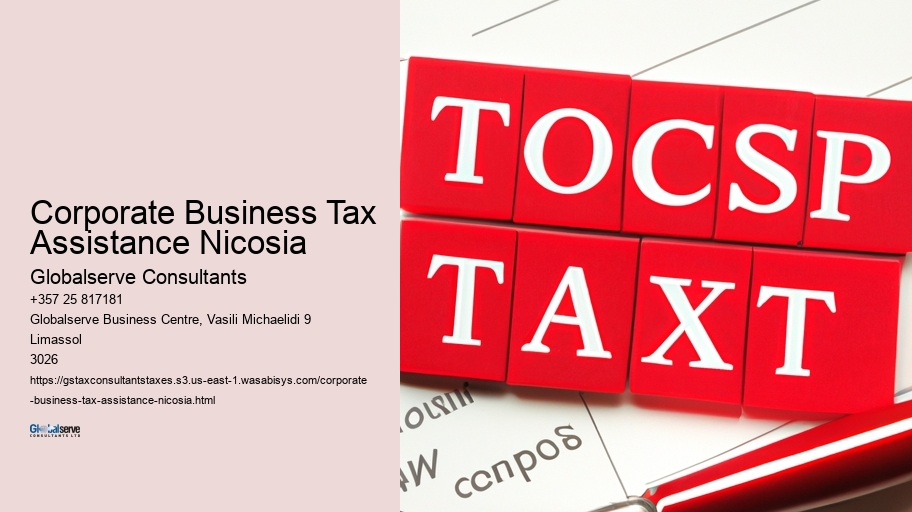 Corporate Business Tax Assistance Nicosia