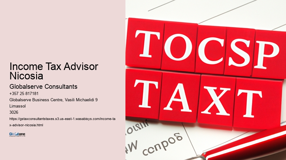 Income Tax Advisor Nicosia