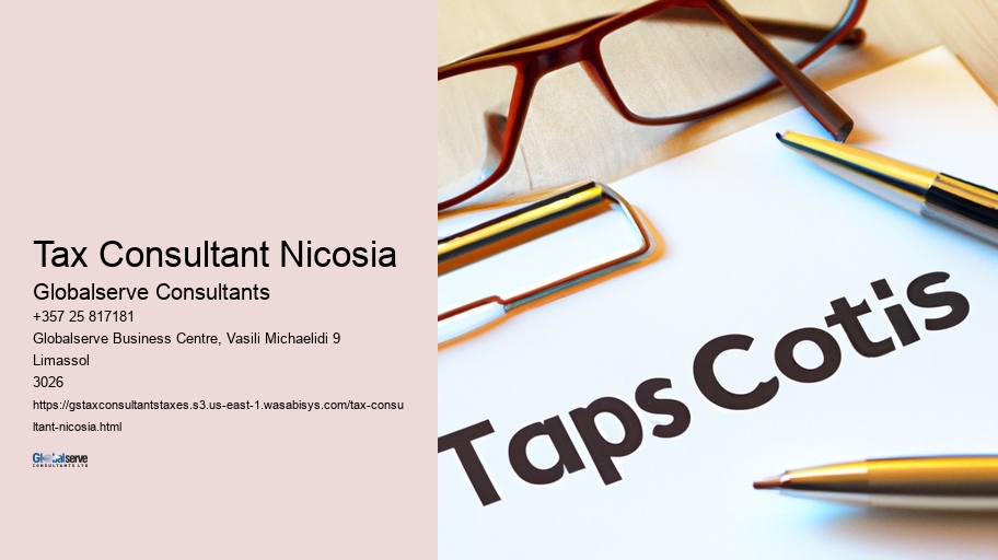 Tax Consultant Nicosia